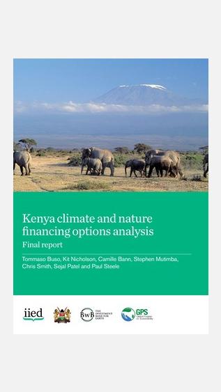 Kenya climate and nature financing options analysis