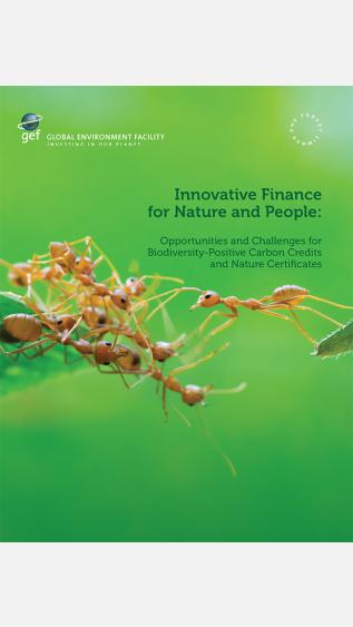 Innovative Finance for Nature and People: Opportunities and challenges for biodiversity-positive carbon credits and nature certificates_GEF 