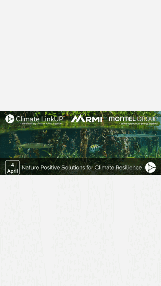 Name Nature Positive Solutions for Climate Resilience_RMI.gif