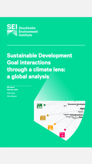 Sustainable Development Goal Interactions through a Climate Lens_SEI
