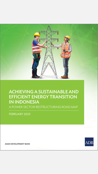 Achieving a Sustainable and Efficient Energy Transition in Indonesia