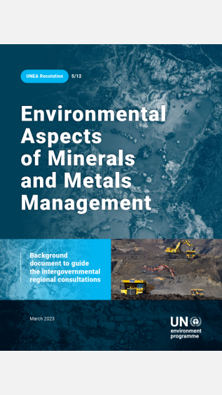 Environmental Aspects of Minerals and Metals Management 