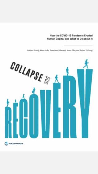 Collapse and Recovery How the COVID-19 Pandemic Eroded Human Capital and What to Do about It