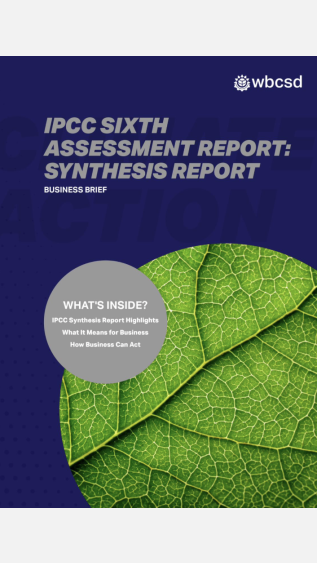 IPCC Sixth Assessment Report Synthesis Report_Business Brief_WBCSD