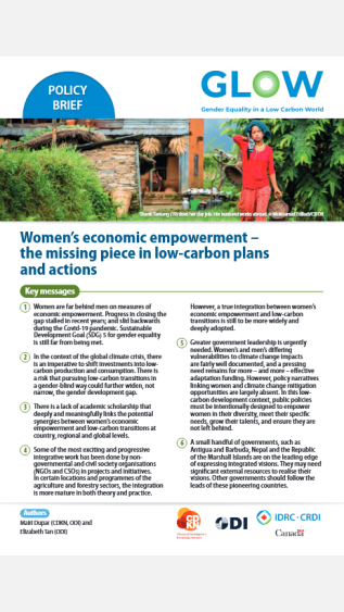 Women's economic empowerment_CDKN