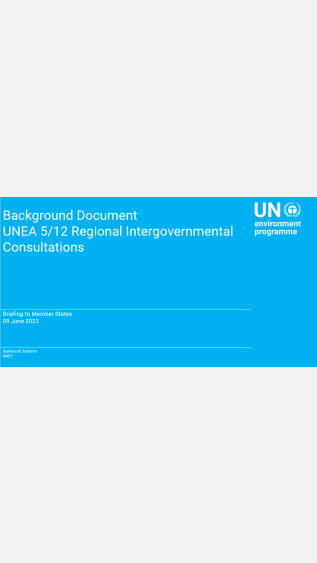 briefing to the Member States - Background Document