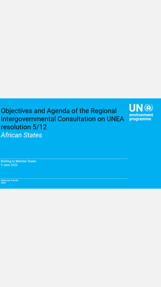 briefing to the Member States - Objectives Presentation 