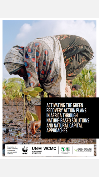 AfDB_Activating_Green_Recovery_Cover
