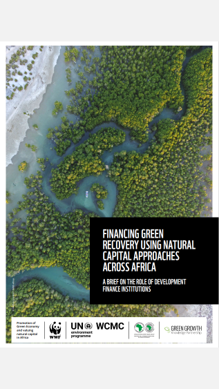 AfDB_Financing_Green_Recovery_Cover