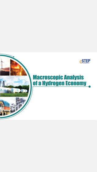 Macroscopic Analysis of a Hydrogen Economy