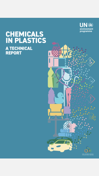UNEP Chemicals in plastics