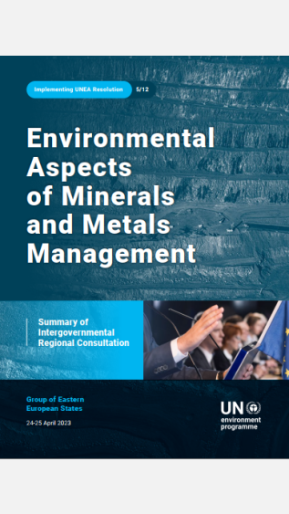 EEG summary report of regional consultation in Geneva.