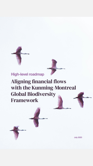 High-level Roadmap_ Aligning financial flows with the Kunming-Montreal Global Biodiversity Framework_UNEP FI.