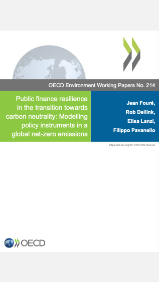 Public finance resilience in the transition towards carbon neutrality_Modelling policy instruments in a global net-zero emissions_OECD