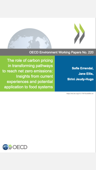 The role of carbon pricing in transforming pathways to reach net zero emissions_OECD