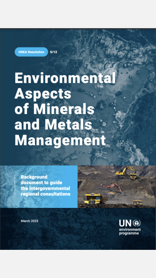 UNEP Environmental Aspects... 03.23