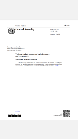 Violence against women and girls, its causes and consequences