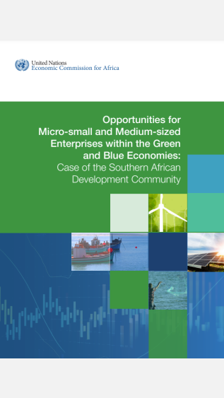 UNECA opportunities for MSMEs