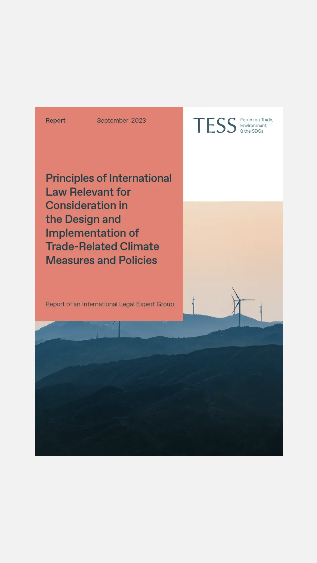 Principles of International Law Relevant for Consideration in the Design and Implementation of Trade-Related Climate Measures and Policies