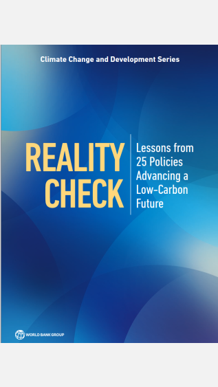 RealityCheck_WB_cover