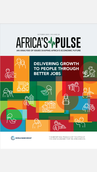 AfricasPullse28_WB_cover
