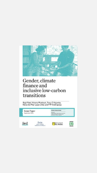 Gender, climate finance and inclusive low-carbon transitions