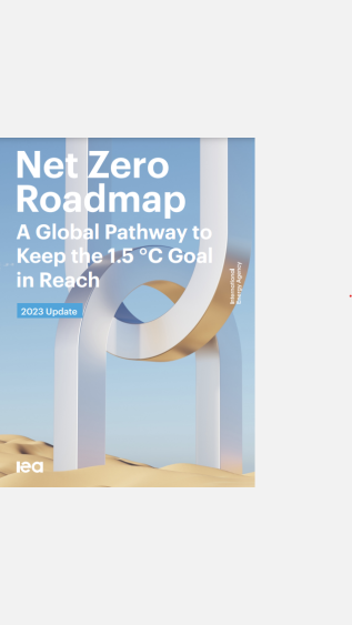 Net Zero  Roadmap A Global Pathway to  Keep the 1.5 °C Goal  in Reach