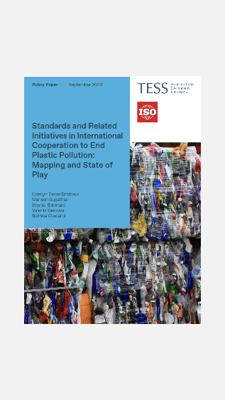 Standards and Related Initiatives in International Cooperation to End Plastic Pollution: Mapping and State of Play