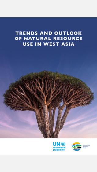trends_outlook_natural_resources_use_west_asia.pdf