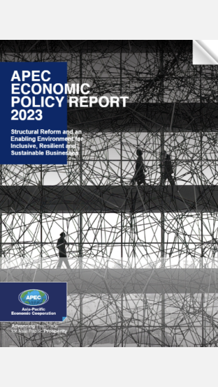 Structural Reform and an  Enabling Environment for  Inclusive, Resilient and  Sustainable Businesses
