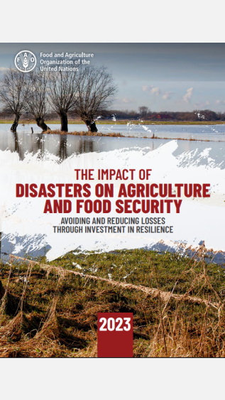 the impact of disasters on food security