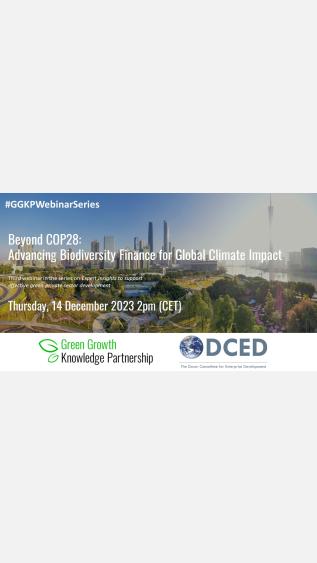 Beyond Cop 28 : Advancing Biodiversity Finance for Global Climate Impact 