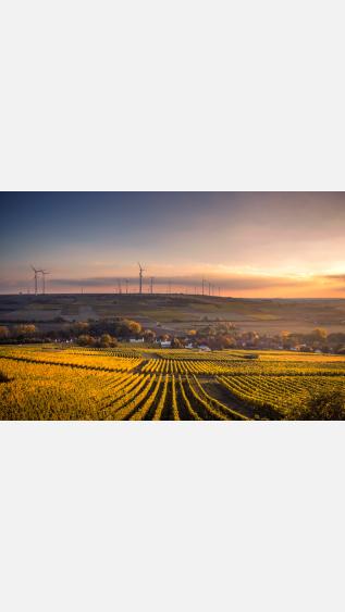 Farm field with wind turbines in the background