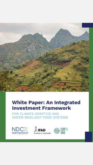 White Paper: An Integrated Investment Framework