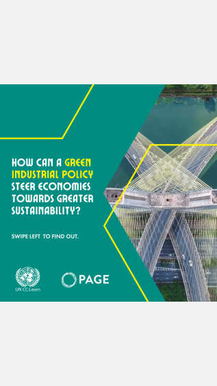 Green Industrial Policy