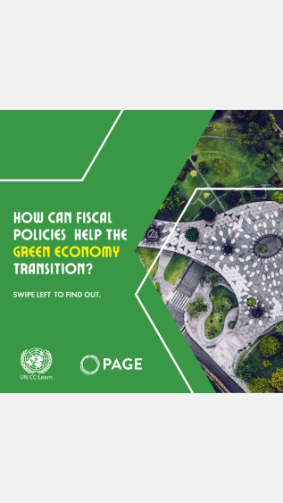 Green Fiscal Policy