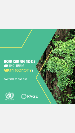 How Can We Assess an Inclusive Green Economy