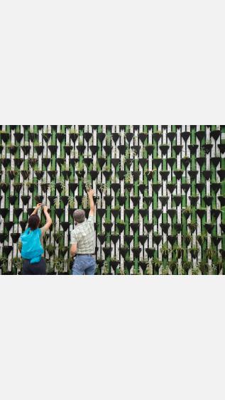 ggkp community engagement consultant