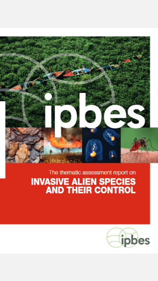 IPBES 