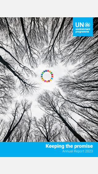 unep annual report