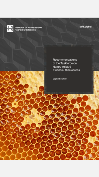 Grey building honeycomb over honeybee honeycomb 