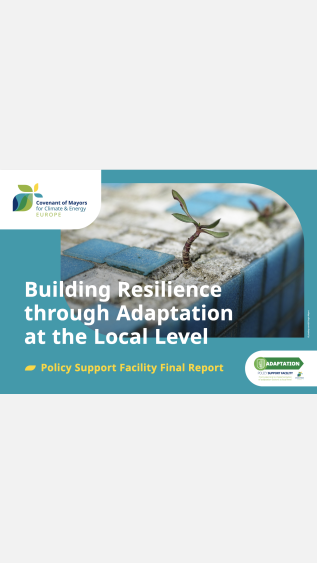 Building Resilience
