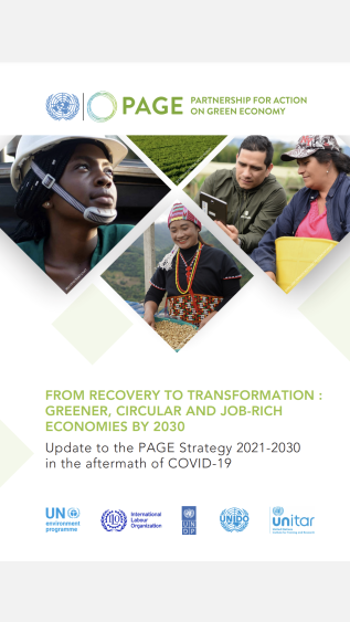 From Recovery to Transformation