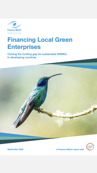 Financing Local Green Enterprises.