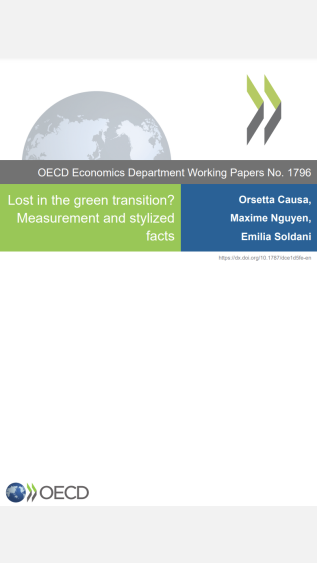 Lost in the green transition? Measurement and stylized facts