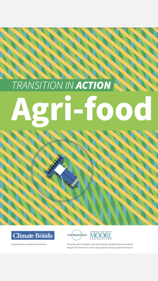 Transition in action