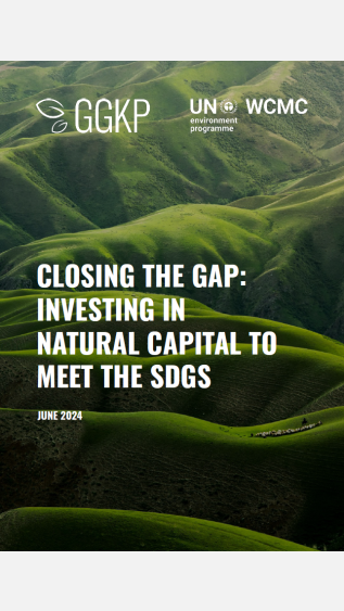Report cover - rolling green hills with "Closing the Gap: Investing in natural capital to meet the SDGs" 