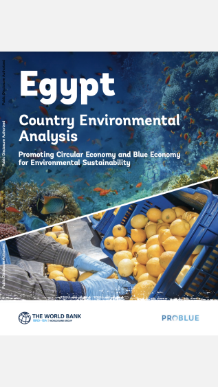 Egypt Country environmental analysis