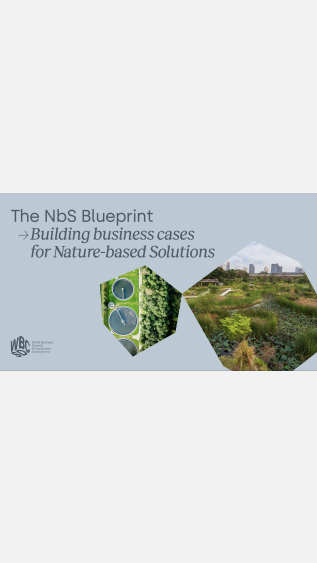 The NbS Blueprint