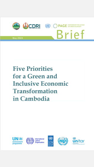 Five Priorities for a Green and Inclusive 
